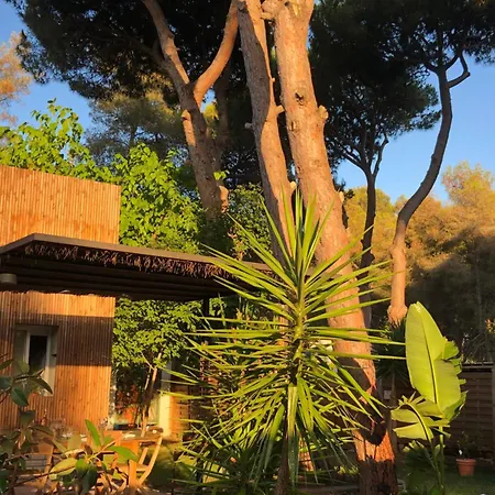 Villa Pineda 38