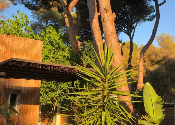 Villa Pineda 38